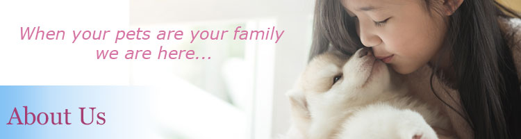 About Our Animal Hospital in Glendora
