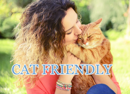 Animal Hospital for Cats