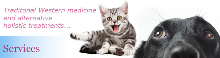 Veterinarian Services in Glendora
